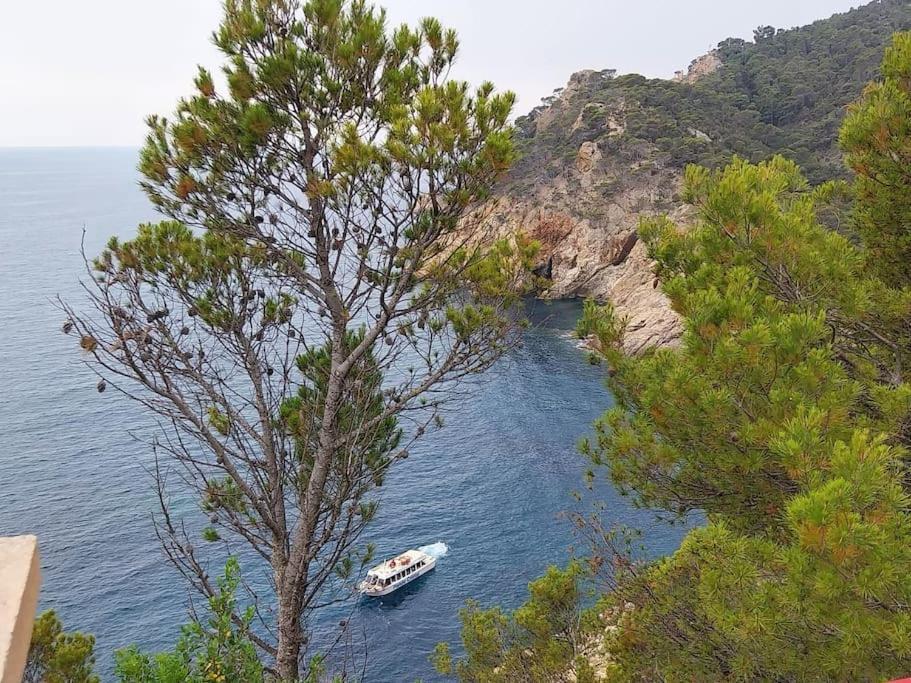Cala Salions Balandro II Tossa De Mar Canet De Mar Exterior foto