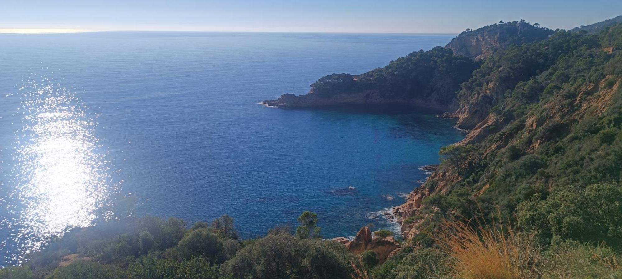 Cala Salions Balandro II Tossa De Mar Canet De Mar Exterior foto